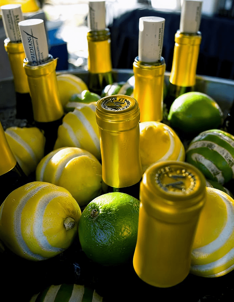 Chilled wine and lemons in ice